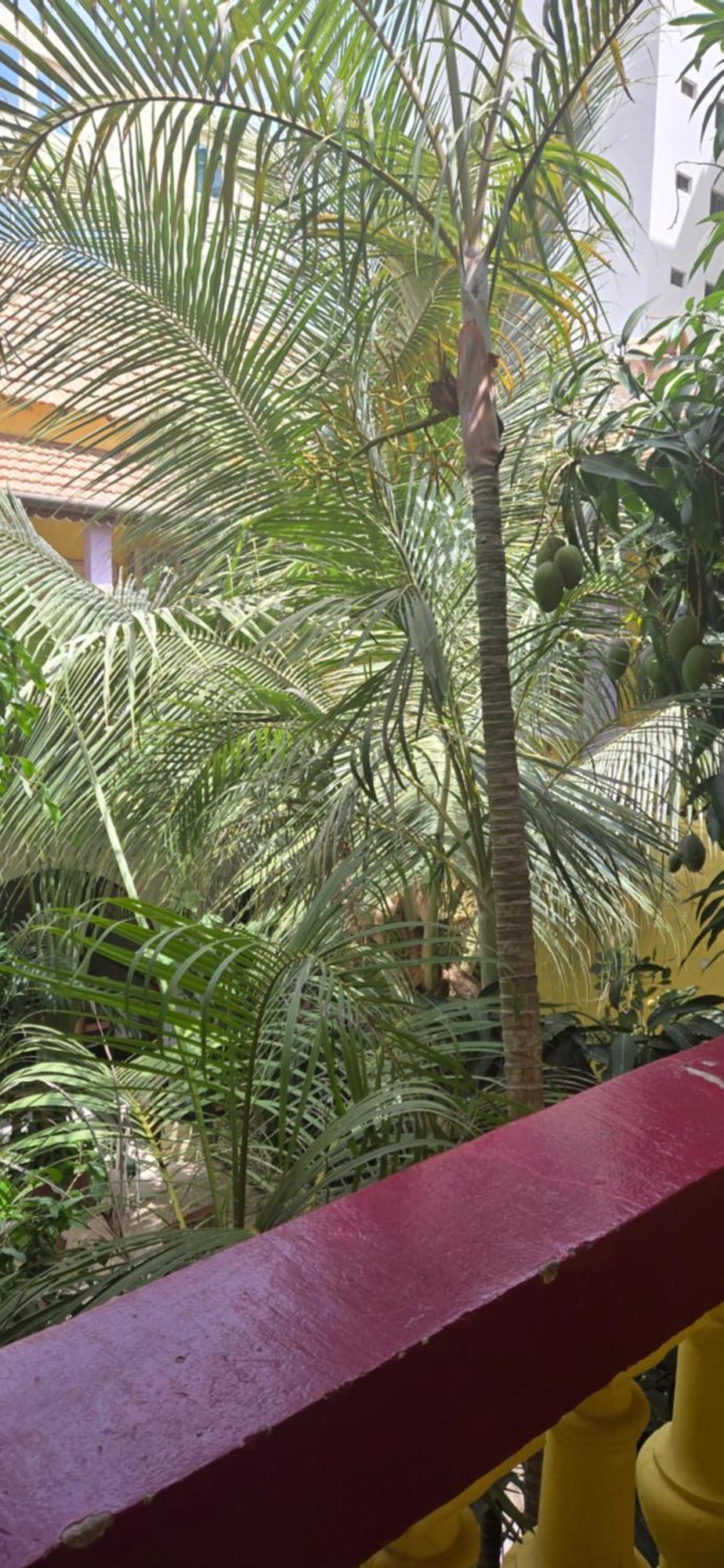 Hotel Saint-Louis Sun Dakar Esterno foto